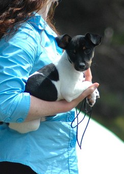 Enlarge photo 109