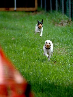 Enlarge photo 102