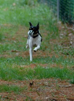 Enlarge photo 63