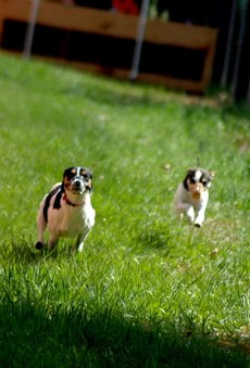 Enlarge photo 80