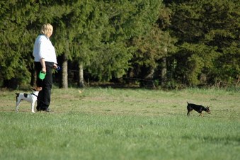 Enlarge photo 16