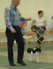 Enlarge photo 5