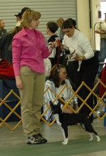Enlarge photo 4