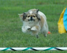 Enlarge photo 75