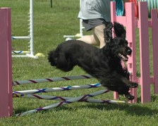 Enlarge photo 111