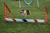 Enlarge photo 13