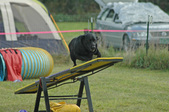 Enlarge photo 17