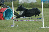 Enlarge photo 20