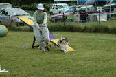 Enlarge photo 25