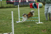 Enlarge photo 26