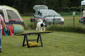 Enlarge photo 29