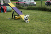 Enlarge photo 30