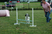 Enlarge photo 31