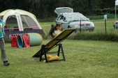 Enlarge photo 34
