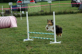 Enlarge photo 36
