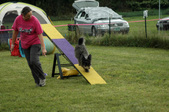 Enlarge photo 39
