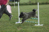 Enlarge photo 40