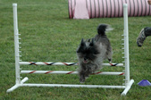 Enlarge photo 41