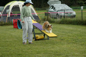 Enlarge photo 44