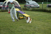 Enlarge photo 45