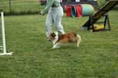 Enlarge photo 46