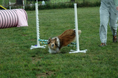 Enlarge photo 47