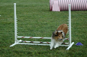 Enlarge photo 48