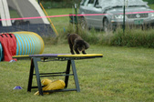 Enlarge photo 49
