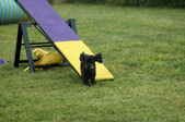 Enlarge photo 50