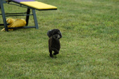 Enlarge photo 51