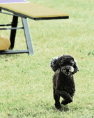 Enlarge photo 251