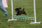Enlarge photo 52