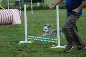 Enlarge photo 56
