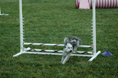 Enlarge photo 57