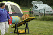 Enlarge photo 59
