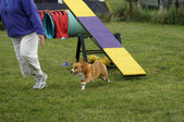 Enlarge photo 61