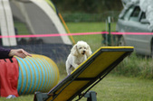 Enlarge photo 65