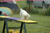 Enlarge photo 67