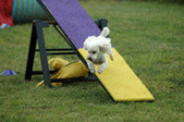 Enlarge photo 68