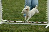 Enlarge photo 70
