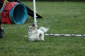 Enlarge photo 71