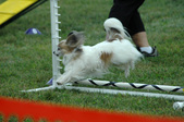 Enlarge photo 72