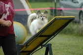 Enlarge photo 73