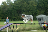 Enlarge photo 77