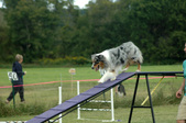 Enlarge photo 78