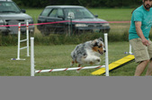 Enlarge photo 80