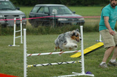 Enlarge photo 79