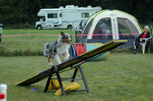 Enlarge photo 81