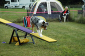 Enlarge photo 82