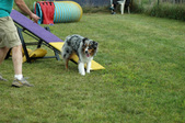 Enlarge photo 83